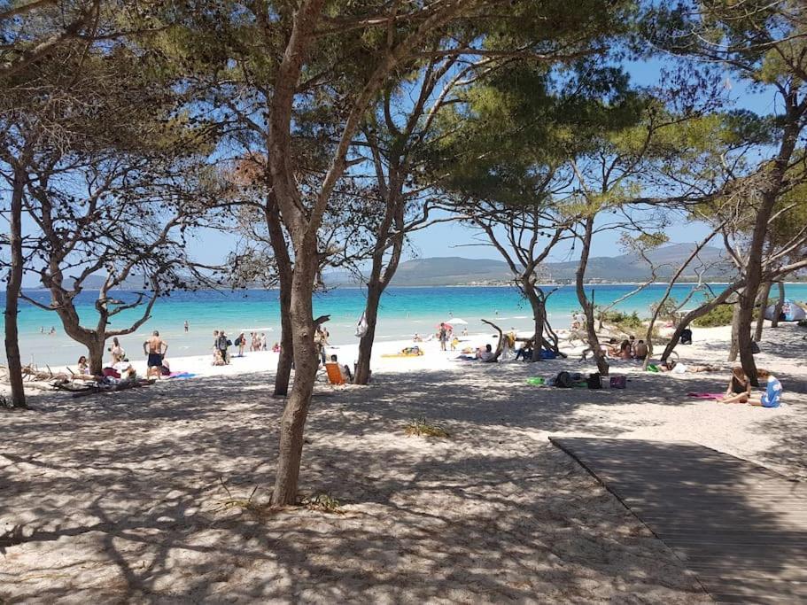 La Perla Bianca - Alghero Lido, Vicino Al Mare Exteriör bild